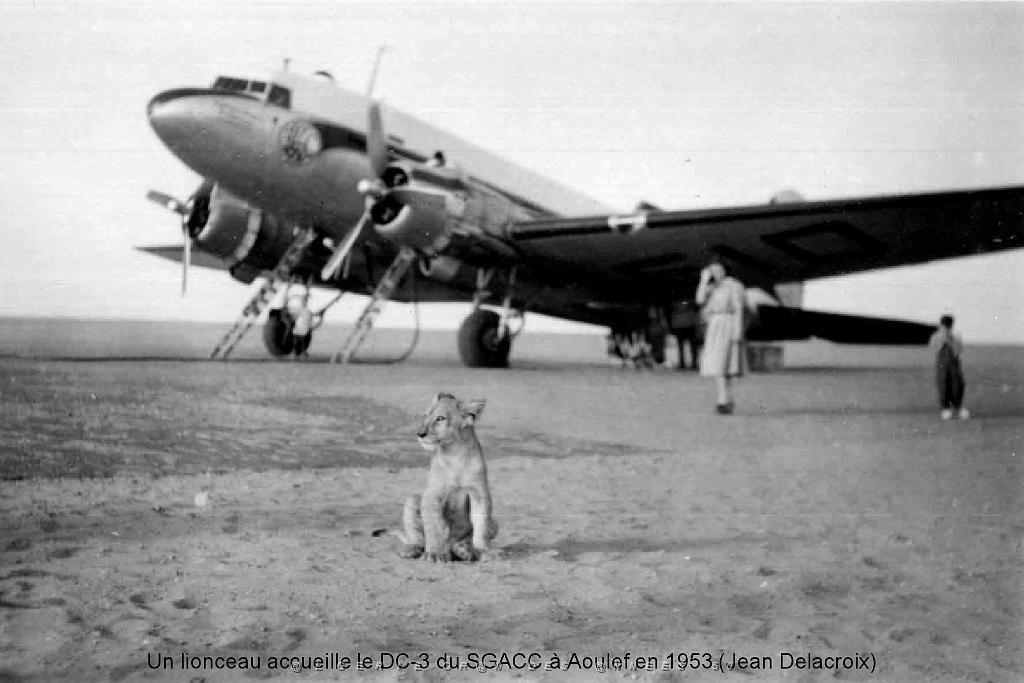 22 - Aviation gouvernementale_000012.jpg